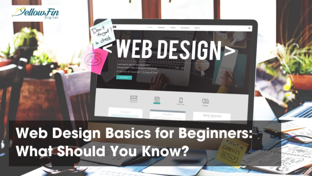 Web Design Basics for Beginners: What Should You Know? - YellowFin Digital
