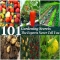 101 Gardening Secrets The Experts Never Tell You