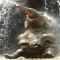 Baby Elephant having the Best Time Ever - Beautiful Animals