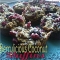 Berrylicious Coconut Muffins