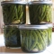 Canning Pickled Green Beans - Canning, Pickling and Preserves