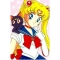 Classical Sailor Moon Tsukino Usagi Cosplay Wig