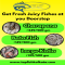 Get Fresh Fishes online in Kolkata - Unassigned