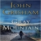 Gray Mountain by John Grisham 