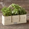 Herb Pot with Tray - Christmas Gift Ideas