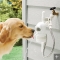 Motion Sensing Automatic Outdoor Pet Fountain - Amazing black & white photos