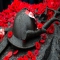 Remembrance Day - News Stories 