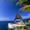 Things to see and do in Negril