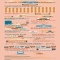 24 hours of the Internet - An infographic - The Web