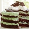 Mint Chocolate Chip Ice-Cream Cake - Treats & Dessert