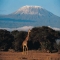 Mount Kilimanjaro in Kilimanjaro National Park, Tanzania, Africa - My Bucket List!