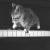 Kitten on piano - Cute and funny cats