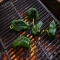 Grilled Jalapenos over camp fire - Great food I love