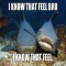 I know that feel bro :p - funny images