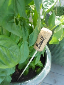 Cork as Plant Labels - Great Gardening Ideas