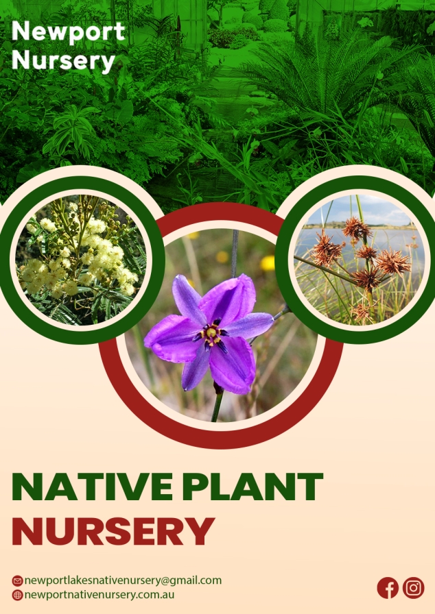 Native plant nursery in Melbourne