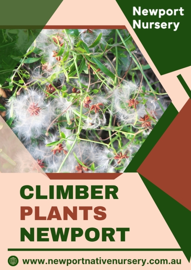 Newport Native Nursery