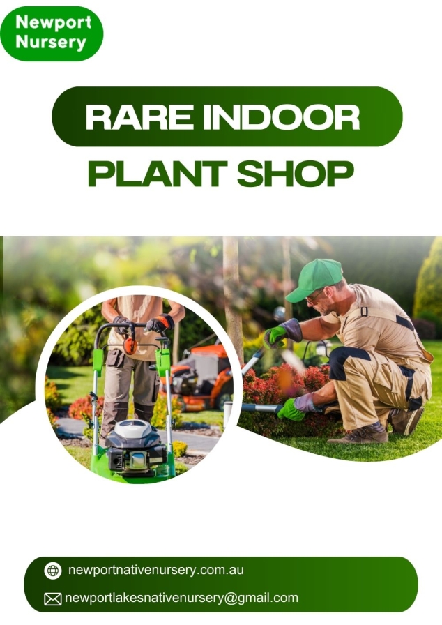 Rare Indoor Plant Shop - Newport Native Nursery