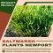 Newport Native Nursery - Native Nursery