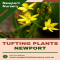 Newport Native Nursery - Native Nursery