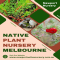 Newport Native Nursery - Native Nursery